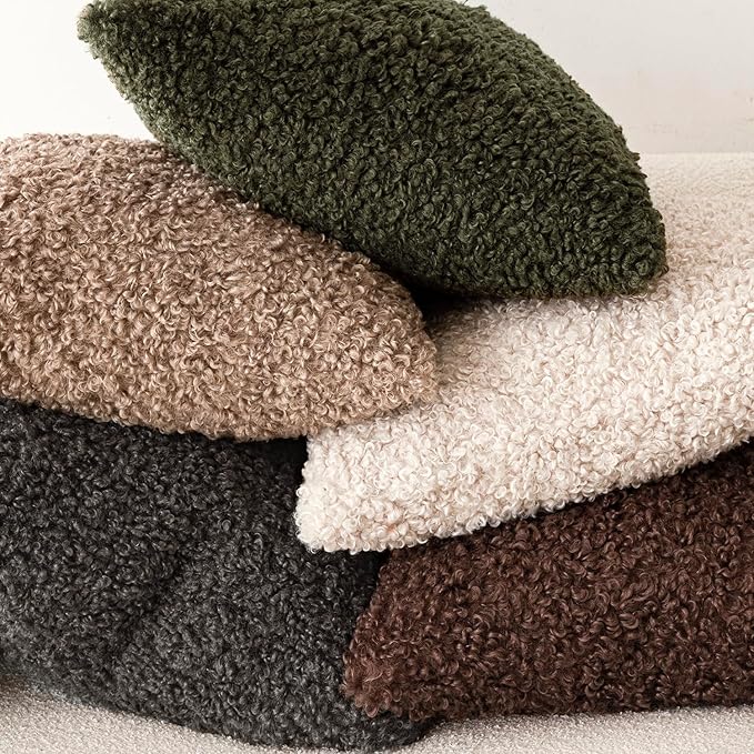 Foindtower Set of 2 Curly Teddy Wool Pillow Covers Decorative Boucle Textured Lumbar Throw Pillow Faux Fur Sherpa Pillowcases Sheepskin Fuzzy Cushion Case for Sofa Bedroom Car 12"x20" Dark Gray