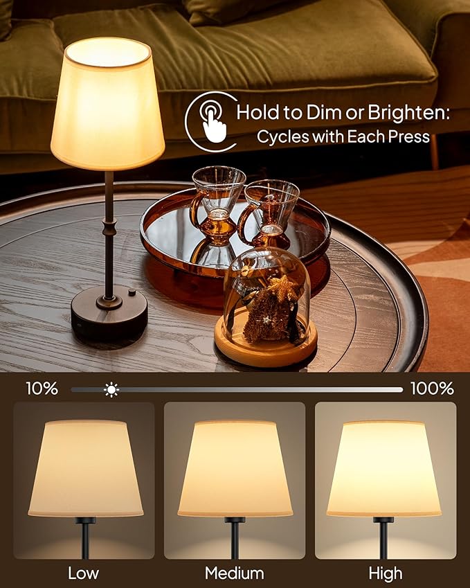 EppieBasic Cordless Table Lamp Rechargeable: Fast Charging & Long Lasting - 2700K Warm Light Vintage Brass Lamps - Dinning Living Room Bedroom - Black