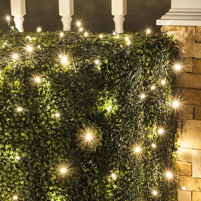 Wintergreen Lighting 100 5mm Warm White Twinkle LED Net Lights, 4 x 6 ft Green Wire Indoor/Outdoor Commercial Grade Outdoor Christmas Decorations for Hedges & Bushes