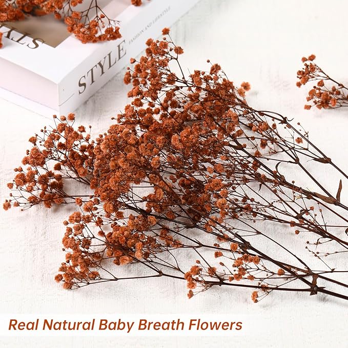 Babys Breath Dried Flowers Bouquet-17'' 3200+ Ivory Dry Flowers, Natural Gypsophila Branches for Wedding, Home Table Vase Decor, DIY Wreath Floral, Fall Thanksgiving Autumn Decoration (Brown, 3.5oz)