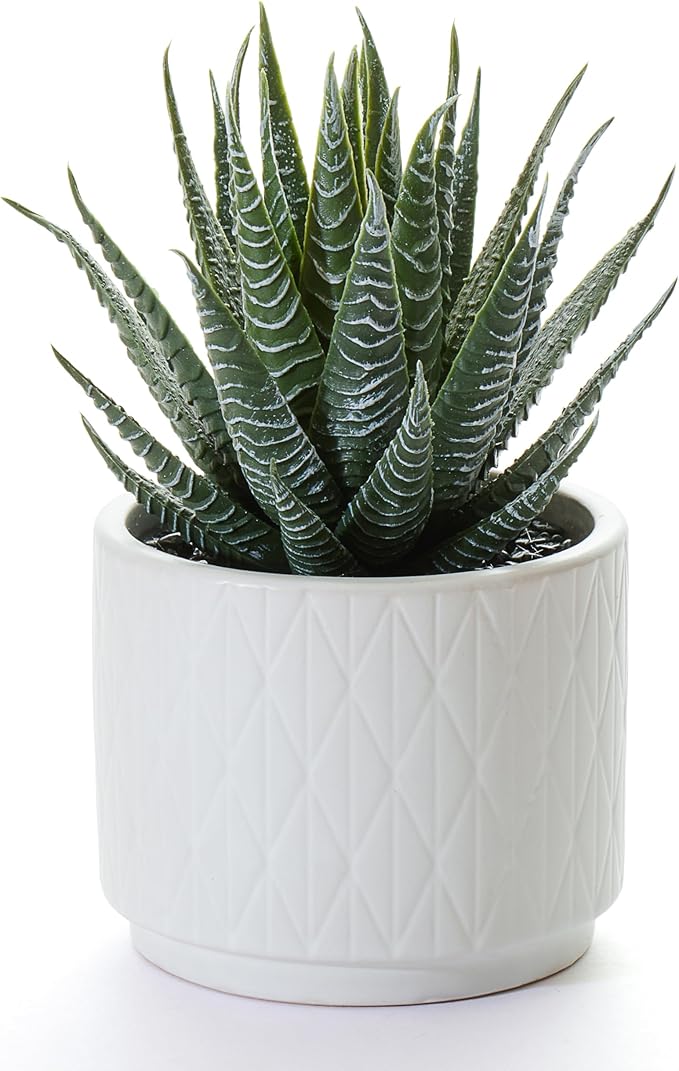 Artificial Succulent Plant in Matte White Ceramic Pot | 6.5" high Dark Green Aloe Plant | Great as desk decor or bathroom decor | beautiful realistic faux succulent with no maintenance