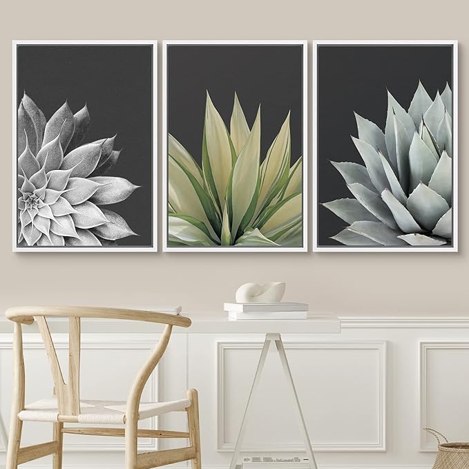 SIGNWIN Framed Canvas Print Wall Art Trio of Echevaria Succulents Floral Plants Photography Modern Art Minimalist Closeup Dramatic Black and White for Living Room, Bedroom, Office - 24"x36"x3 White