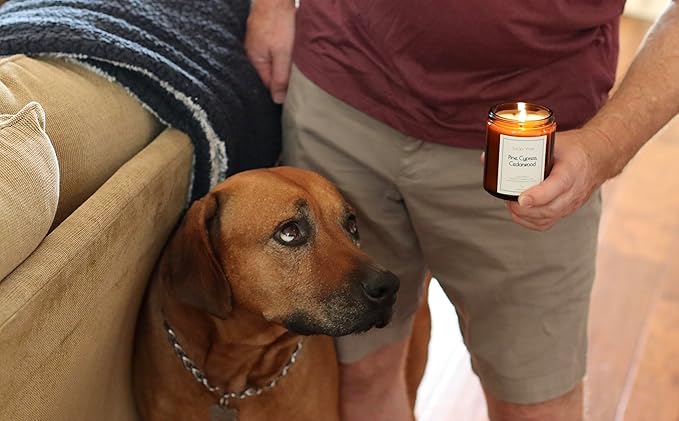 All-Natural Pine, Cypress, Cedarwood Aromatherapy Essential Oil Candle, Safe for People and Pets, Made with Pure Sustainable Organic Vegan Coconut Wax, Allergy Friendly, Non Toxic, Zero Waste
