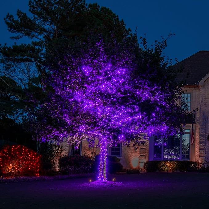 TW SHINE Halloween Lights, 200 LED 66FT Outdoor Halloween Light Plug in with 8 Modes, Waterproof Christmas Lights Outdoor, Indoor Decorations for Party Yard Haunted House Decor, Purple