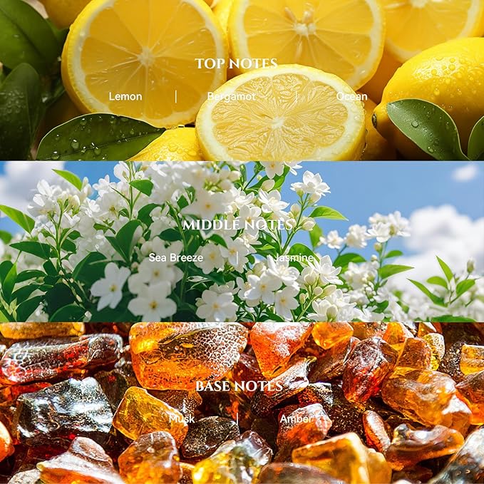 Bergamot Coastal Diffuser Oil Inspired by Luxury Hotel Scent 6.76 Fl Oz (200ml), Aroma Diffuser & Hotel Fragrance Diffuser Oil, Essential Oil Diffuser for Aromatherapy, Long-Lasting