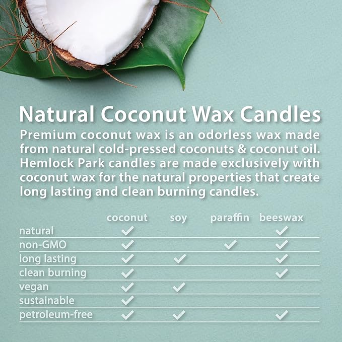 Hemlock Park Crackling Wood Wick Candle Handcrafted with Natural Coconut Wax (Large 16 oz, Sea Salt Orchid)
