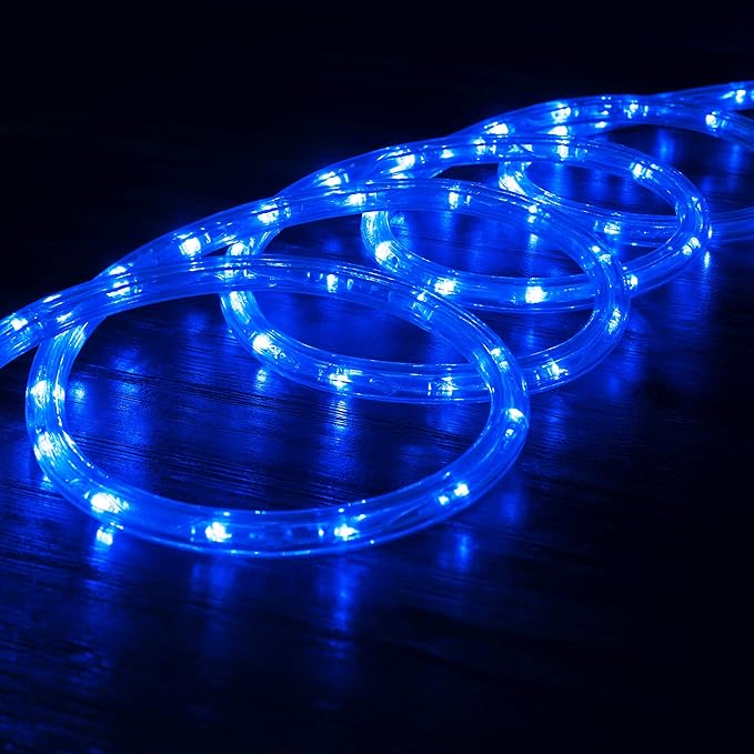 WYZworks 216LEDs, 20ft LED Outside Rope Lights, Waterproof Permanent Outdoor ETL Certified Connectable Clear Tube, Christmas Palm Tree Holiday Decorative Landscape Patio Accent Lighting - Blue