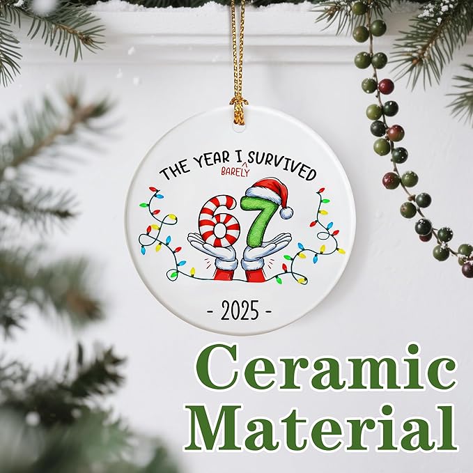 Funny 67 Ornament | 2025 Slang Christmas | Funny Christmas Ornaments 2025 | Funny Teen Grandkid Ornament | Gen Alpha Xmas Gift | 67 Gift