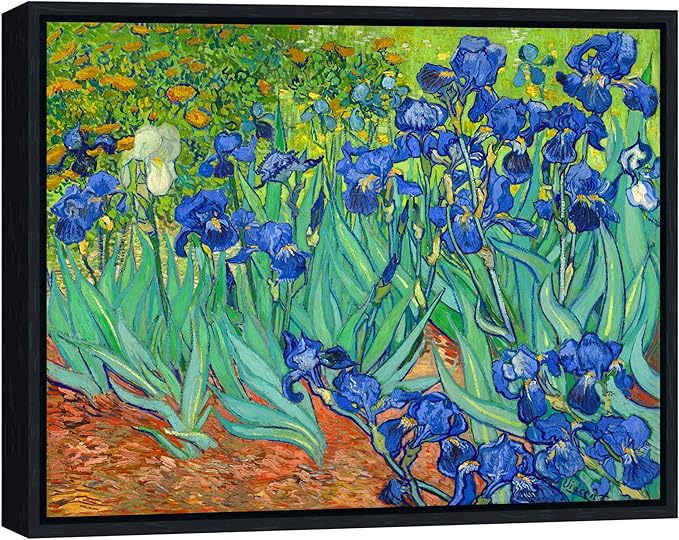 Wieco Art Framed Wall Art Canvas Prints Irises By Van Gogh Famous Flowers Oil Paintings Reproduction Modern Giclee Canvas Prints Artwork Pictures on Canvas Wall Art for Wall Decor Black Frame