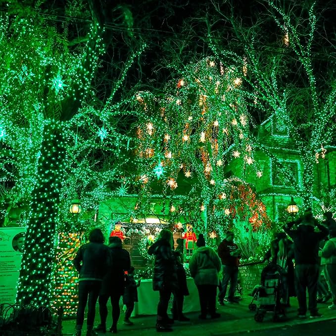TW SHINE Green Christmas Lights, 200 LED 66FT Outdoor Christmas Lights Plug in with 8 Modes, Waterproof Green Wire St. Patrick's Day Light Outdoor, Indoor Xmas Decorations for Party Yard Room Decor