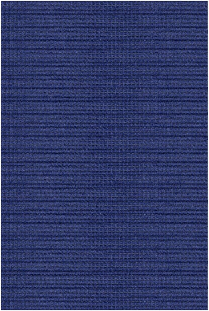 EARTHALL Woven Area Rug 2x3 Ft Washable Rugs for Entryway Braided Non Slip Throw Rugs Door Mat Indoor Outdoor Entrance Small Cotton Woven Carpet for Kitchen Foyer Front Door, Royal Blue/Navy