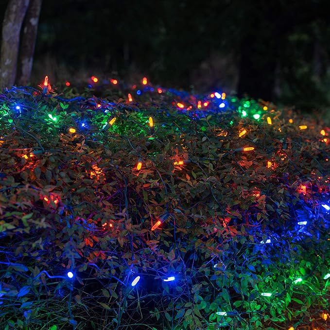Wintergreen Lighting 100 Count M5 Multicolor LED Christmas Net Lights, 4 x 6 ft Green Wire Indoor/Outdoor Commercial Grade Outdoor Christmas Decorations for Hedges & Bushes