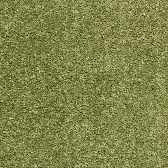 Nourison Essentials Indoor/Outdoor Green 3' x 5' Area Rug, Easy Cleaning, Non Shedding, Bed Room, Living Room, Dining Room, Backyard, Deck, Patio (3x5)