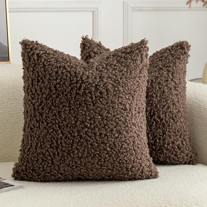 Pack of 2 Curly Teddy Wool Faux Fur Throw Pillow Covers Fuzzy Accent Soft Sherpa Pillowcases Sheepskin Fleece Decorative Cushion Case for Sofa Couch Living Room 18x18 Inch Chocolate