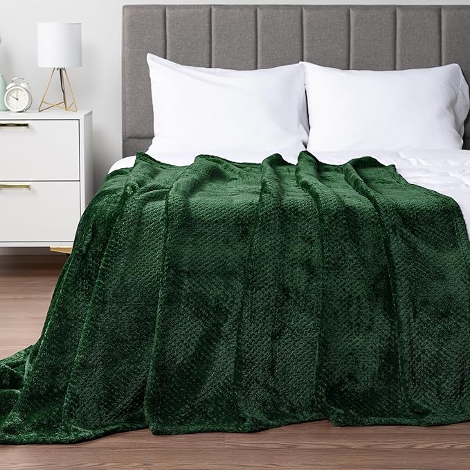 PAVILIA Emerald Green Throw Blanket for Couch, Twin Bed, Soft Fleece Throws for Sofa Chair, Fuzzy Waffle Textured Blanket, Cozy Warm Lightweight All Season Blanket Throw, 60x80