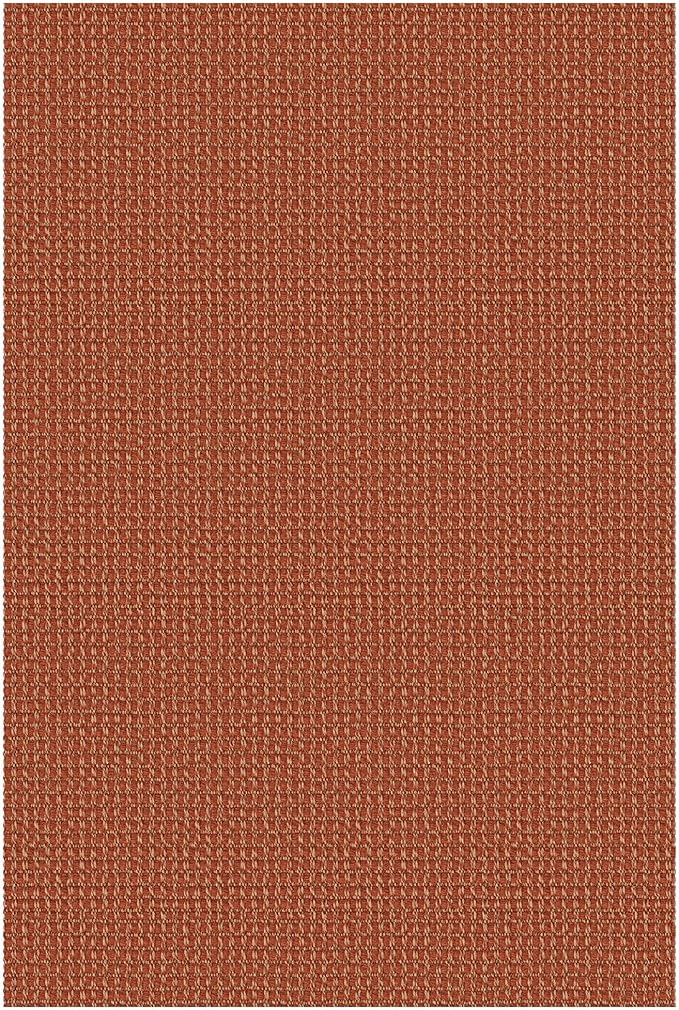EARTHALL Woven Area Rug 2x3 Ft Washable Rugs for Entryway Braided Non Slip Throw Rugs Door Mat Indoor Outdoor Entrance Small Cotton Woven Carpet for Kitchen Foyer Front Door, Rustic Orange/Tan