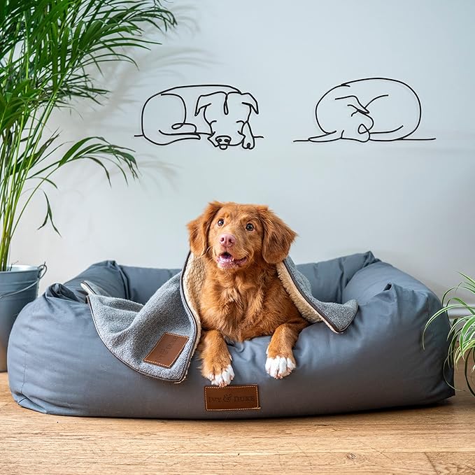 Matani Metal Dog Wall Decor | Minimalist Room & Living Room Wall Decor - Sleeping Labrador & Pitbull