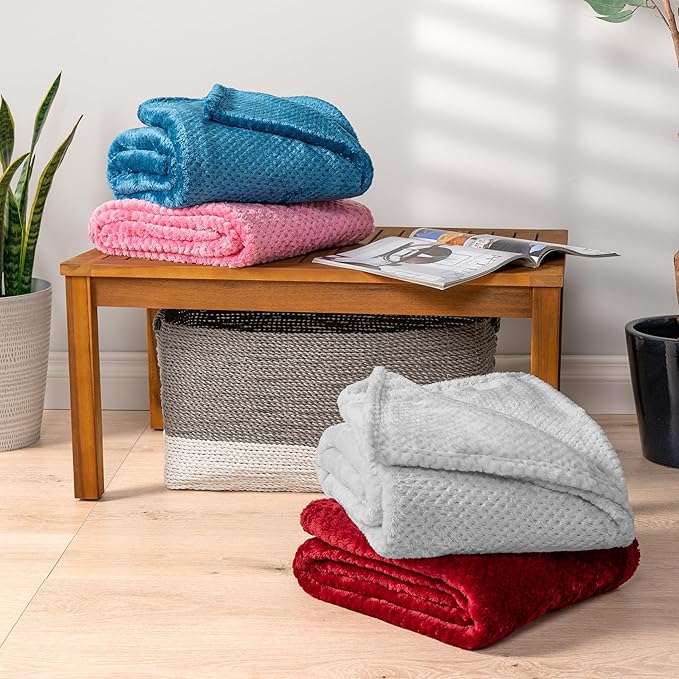 PAVILIA Light Gray Throw Blanket for Couch Bed, Soft Fleece Throws for Sofa Chair, Fuzzy Waffle Textured Blanket, Cozy Warm Lightweight All Season Blanket Throw, 50x60