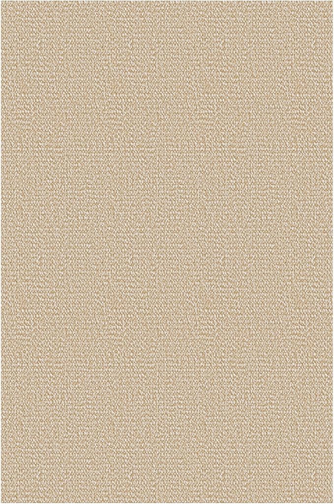 EARTHALL Washable Area Rug 2x3 Ft Non Slip Rugs for Entryway Braided Small Throw Rugs with Rubber Backing Door Mat Indoor Outdoor Entrance Rug for Kitchen Foyer Front Door, Golden Beige/White