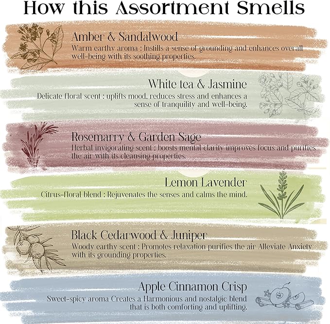 Raajsee Natural Incense Sticks Variety Pack with Incense Stick Holder, Pack of 6 Organic Insence Sticks,120 Inscents-Sticks, Meditation Gifts for Spiritual Cleansing - Organic Incense Sticks Non Toxic