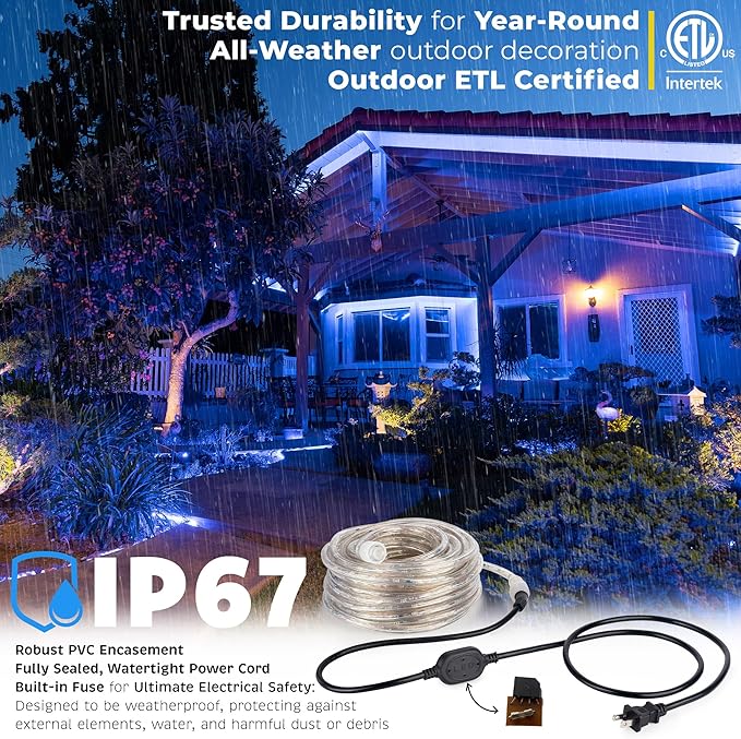WYZworks 216LEDs, 20ft LED Outside Rope Lights, Waterproof Permanent Outdoor ETL Certified Connectable Clear Tube, Christmas Palm Tree Holiday Decorative Landscape Patio Accent Lighting - Blue