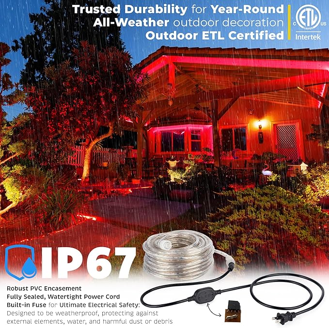 WYZworks 1116LEDs, 100ft LED Outside Rope Lights, Waterproof Permanent Outdoor ETL Certified Connectable Clear Tube, Christmas Palm Tree Holiday Decorative Landscape Patio Accent Lighting - Red