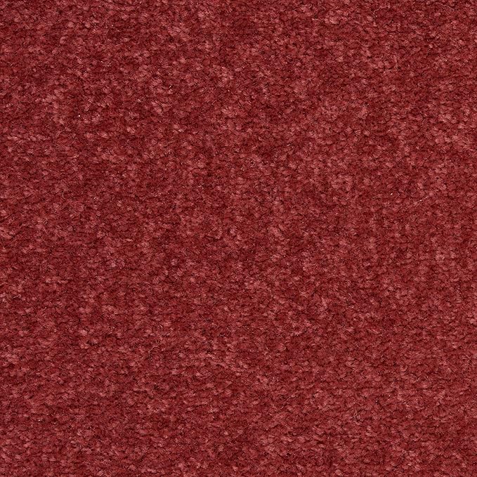 Nourison Essentials Indoor/Outdoor Brick Red 2' x 4' Area Rug, Easy Cleaning, Non Shedding, Bed Room, Living Room, Dining Room, Backyard, Deck, Patio (2x4)