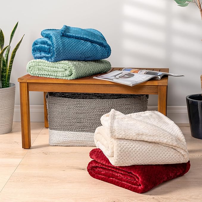 PAVILIA Sage Green Throw Blanket for Couch Bed, Soft Fleece Throws for Sofa Chair, Fuzzy Waffle Textured Blanket, Cozy Warm Lightweight All Season Blanket Throw, 50x60