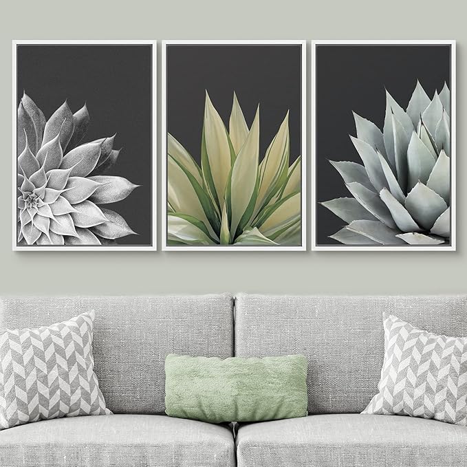 SIGNWIN Framed Canvas Print Wall Art Trio of Echevaria Succulents Floral Plants Photography Modern Art Minimalist Closeup Dramatic Black and White for Living Room, Bedroom, Office - 24"x36"x3 White