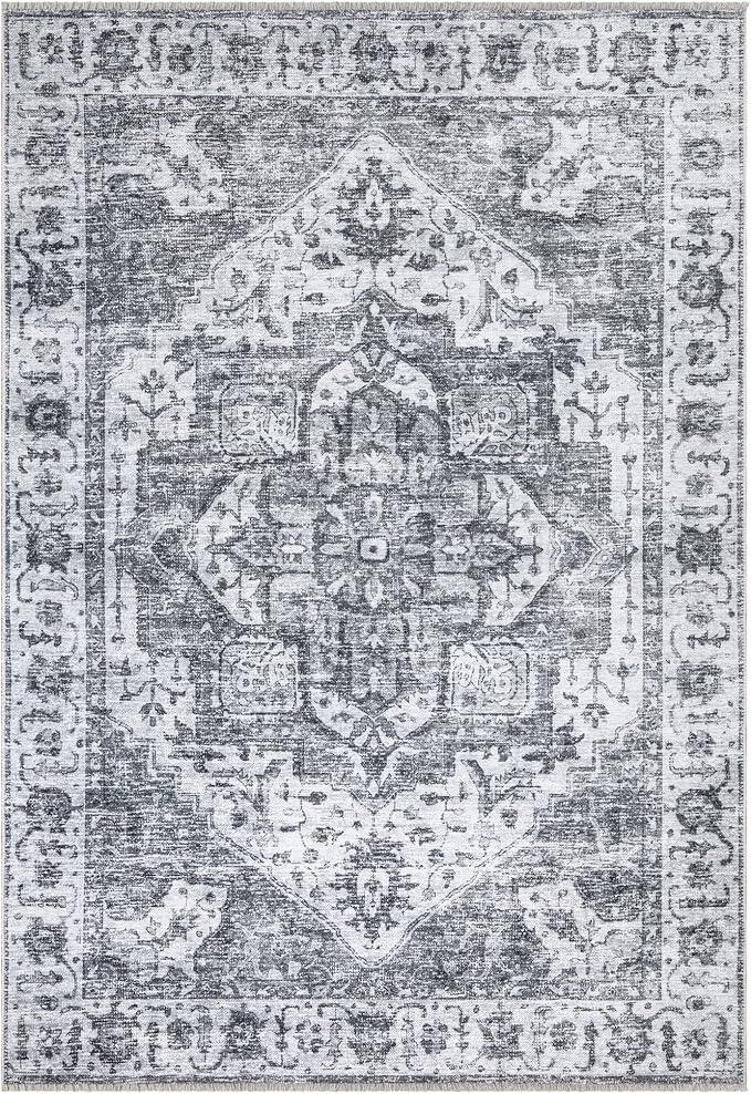 Bloom Rugs Caria Washable Non-Slip 4x6 Rug - Silver/Dark Gray Traditional Area Rug for Living Room, Bedroom, Dining Room, and Kitchen - Exact Size: 4' x 6'