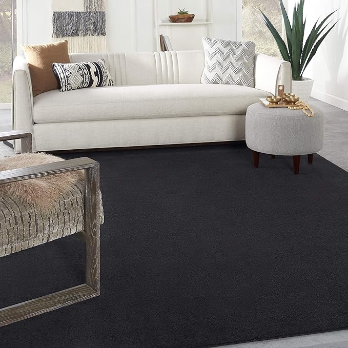 Nourison Home Essentials Indoor/Outdoor Black 8' x 10' Area Rug, Easy Cleaning, Non Shedding, Bed Room, Living Room, Dining Room, Backyard, Deck, Patio (8x10)
