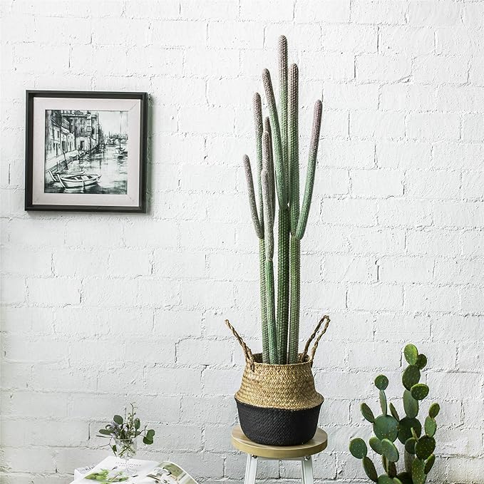 NCYP 4ft (48 Inch) Tall Artificial Cactus in Plastic Planter with Seagrass Basket - Faux Small Saguaro Cacti Potted for Home, Room, Office, Indoor Farmhouse Floor Decor, Fake Plants