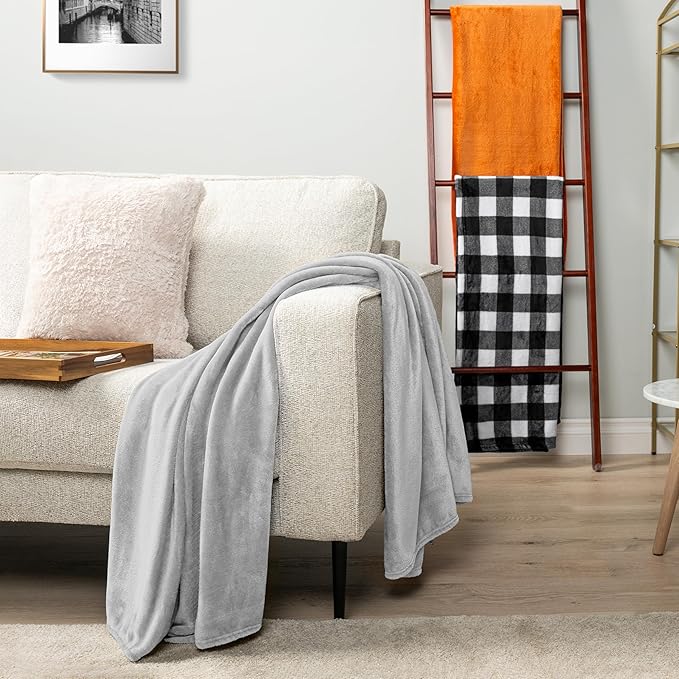 PAVILIA Light Grey Fleece Throw Blanket for Couch Twin Size, Silver Super Soft Fuzzy Flannel Throw for Sofa, Luxury Plush Microfiber Blanket Twin Bed, Home Decorative Velvet Gift Blanket, 60x80