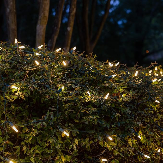 Wintergreen Lighting Set of 100 Warm White LED Christmas Net Lights, Outdoor Christmas Decorations, Green Wire (4 x 6 ft, M5 Lights, LED Warm White)