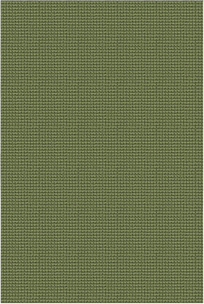 EARTHALL Woven Area Rug 4x6 Ft Washable Rugs for Entryway Non Slip Braided Throw Rugs Bedroom Carpet Cotton Entry Rug Cotton Floor Carpets for Bedroom Dining Room Living Room, Green