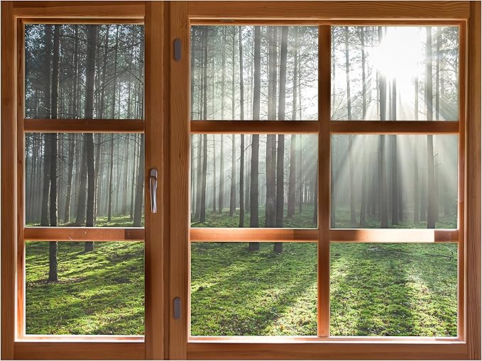 SIGNWIN Removable Wall Sticker/Wall Mural Window Morning Sunlight Through Misty Woods Photography Realism Decorative Landscape Digital Art for Living Room, Bedroom, Office - 36"x48"