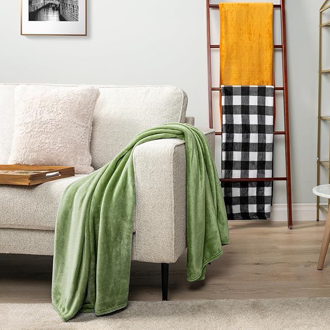 PAVILIA Sage Green Fleece Throw Blanket for Couch Twin Size, Light Olive Super Soft Fuzzy Flannel Throw for Sofa, Luxury Plush Microfiber Blanket Twin Bed, Home Decorative Velvet Gift Blanket, 60x80