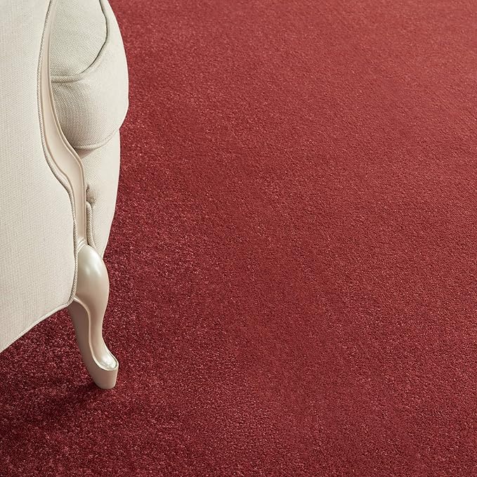 Nourison Essentials Indoor/Outdoor Brick Red 9' x 12' Area Rug, Easy Cleaning, Non Shedding, Bed Room, Living Room, Dining Room, Backyard, Deck, Patio (9x12)